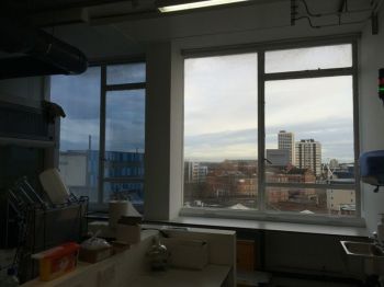 Newcastle University heat reducing film in science block